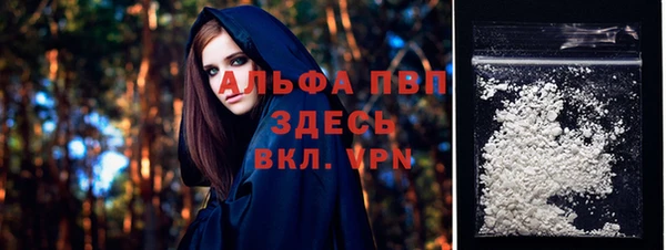 ГАЛЛЮЦИНОГЕННЫЕ ГРИБЫ Магас