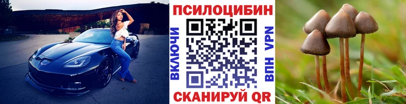 Псилоцибиновые грибы GOLDEN TEACHER  Никольск 